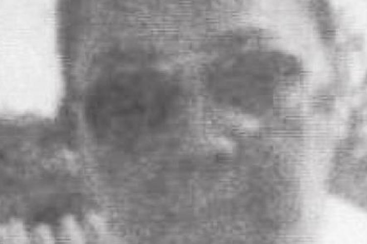 EVERETTE EUGENE