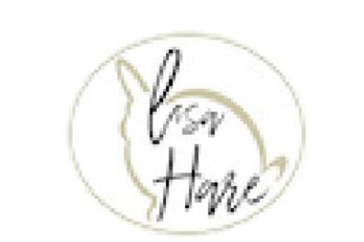 THE NATURE OF THINGS BY LISA HARE