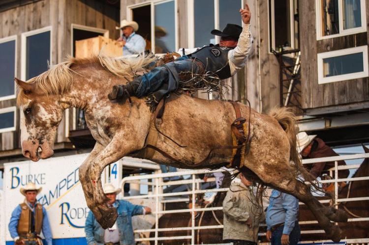 Andy Gingrich of Aberdeen, aboard Muddy Creek Pro-Rodeo’s NFR Bareback Pejuta Hota (Strong Medicine). 2024 Burke Stampede Rodeo. Courtesy Photo.