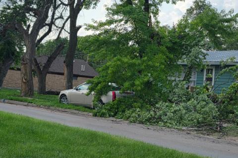 RESIDENTS CLEAN UP AFTER DAMAGING JUNE 30 STORM