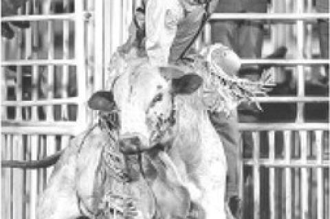 Fun at the Rodeo