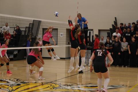 AC/DC THUNDER VOLLEYBALL BATTLES THROUGH BUSY WEEK OF COMPETITION