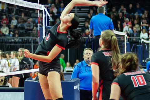 VOLLEYBALL