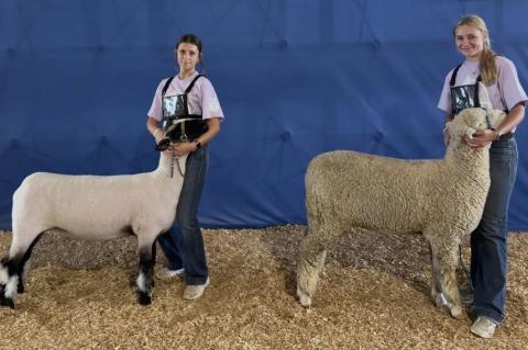 ANDES CENTRAL FFA MEMBERS EARN STATE FAIR HONORS