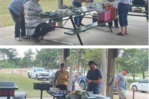 FRESH FINDS AND FRIENDLY FACES AT WAGNER FARMERS MARKET