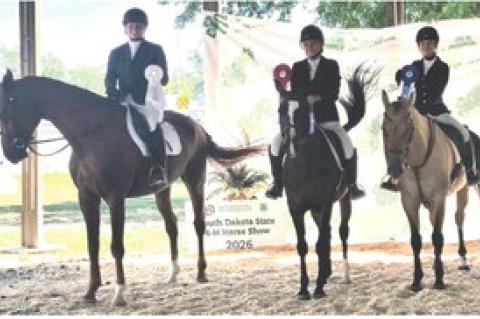STATE 4-H HORSE SHOW RESULTS