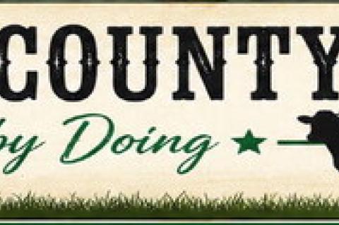 4-H County Fair