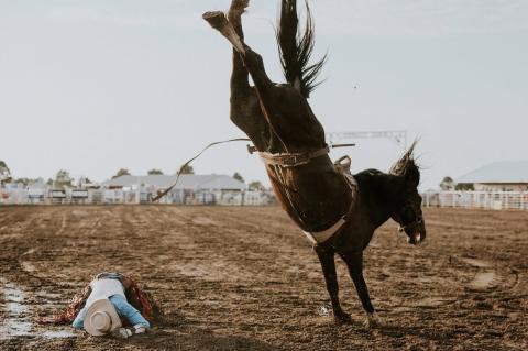 Bugsy unloads cowboy at 2025 Burke Stampede Rodeo.