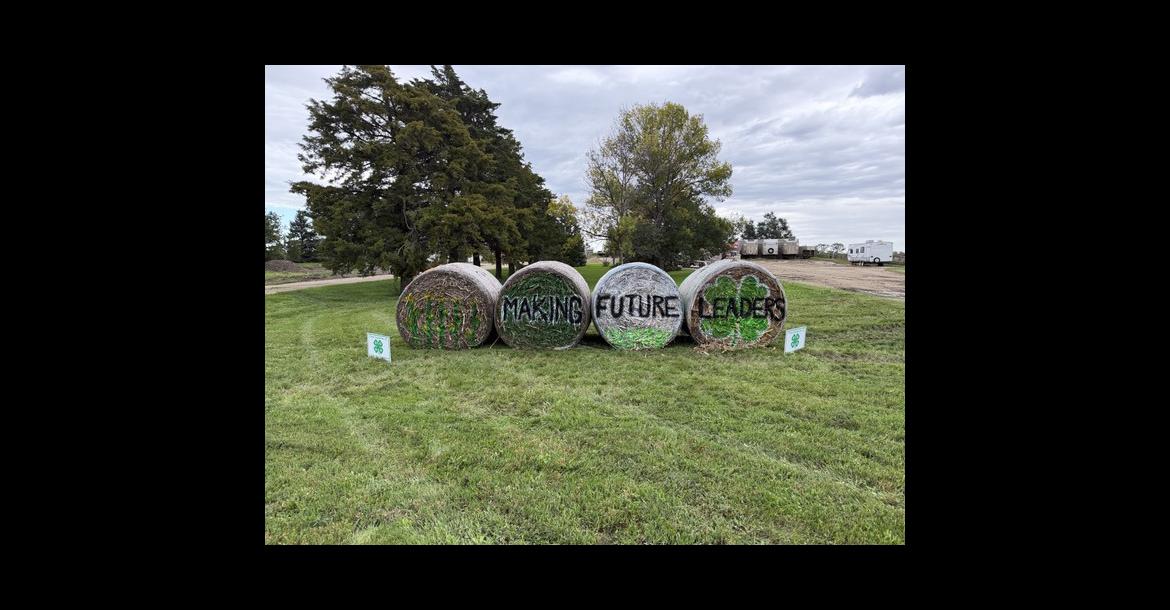 NATIONAL 4-H WEEK