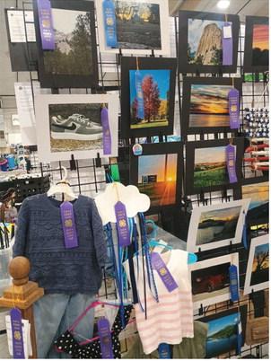BON HOMME COUNTY STATE FAIR RESULTS