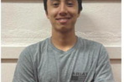 Article Image Alt Text