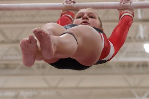 Article Image Alt Text