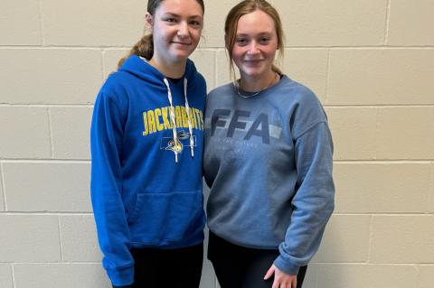 Article Image Alt Text