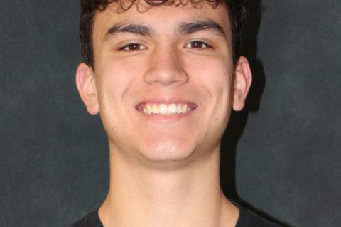 Article Image Alt Text