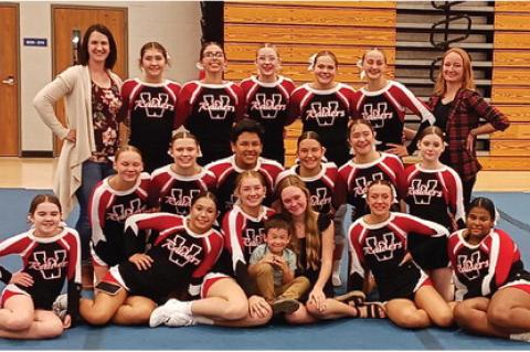 Article Image Alt Text