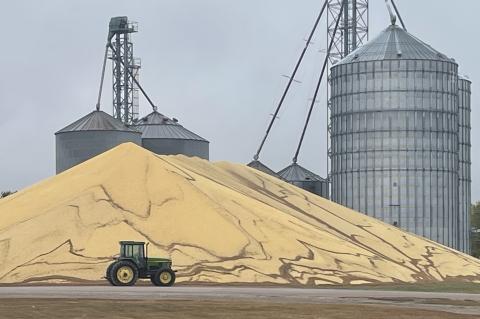 Fousek Grain is bustling once again as area farmers bring in their fall crops. Trucks have been rolling steady with both soybeans and corn arriving at the elevator. Despite the rain last week, fields have dried back up and the combines are rolling once mo