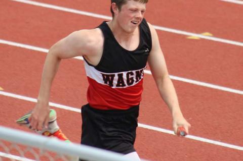 Article Image Alt Text