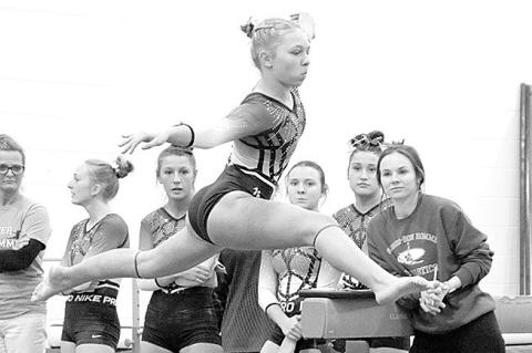 Article Image Alt Text