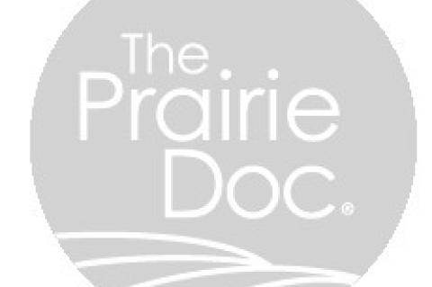 THE BONES OF THE MATTER