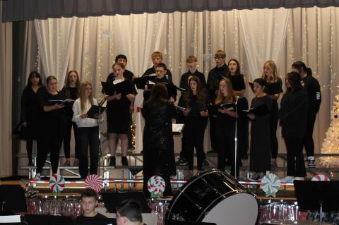 Article Image Alt Text