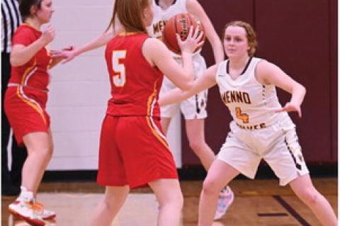 Article Image Alt Text