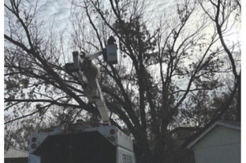 Article Image Alt Text