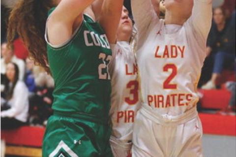 Article Image Alt Text