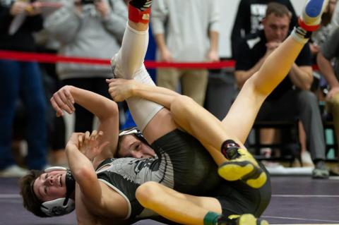 Article Image Alt Text