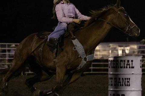 Article Image Alt Text