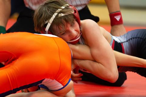 Article Image Alt Text