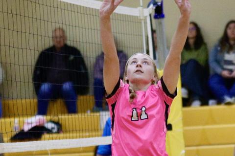 Article Image Alt Text