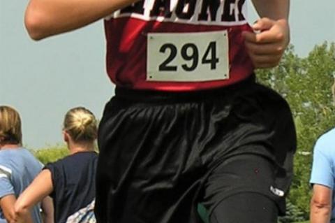 Article Image Alt Text