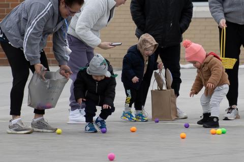 Article Image Alt Text