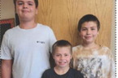 GOLD STANDARD PIRATES