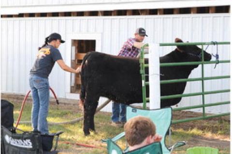 4-H ACHIEVEMENT DAYS HELD