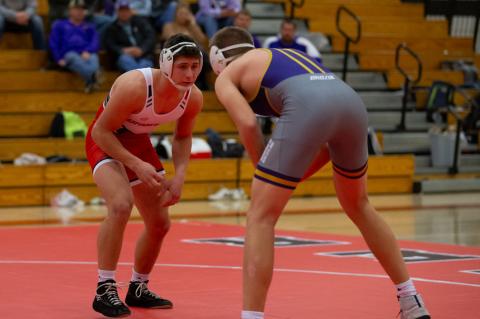 Article Image Alt Text