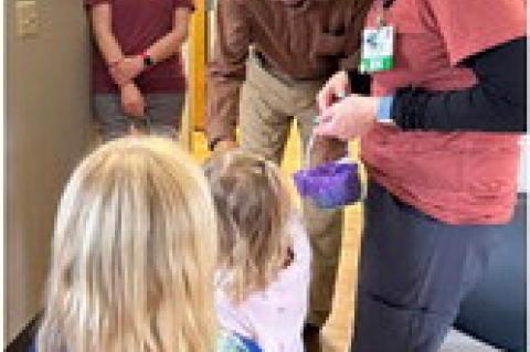 Article Image Alt Text