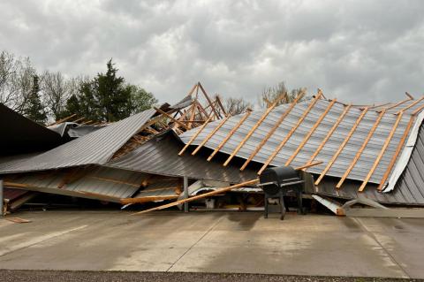 Article Image Alt Text