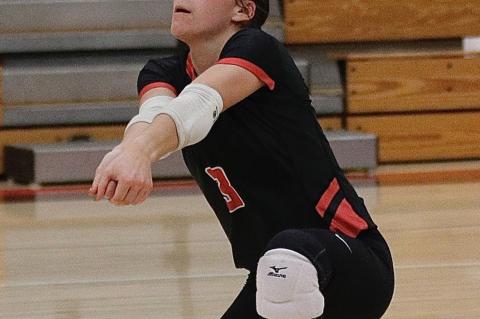 Article Image Alt Text