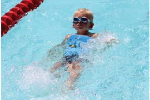 Article Image Alt Text