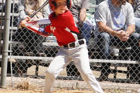 Article Image Alt Text