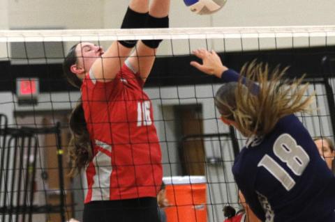 Article Image Alt Text