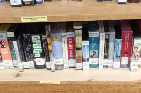 Article Image Alt Text