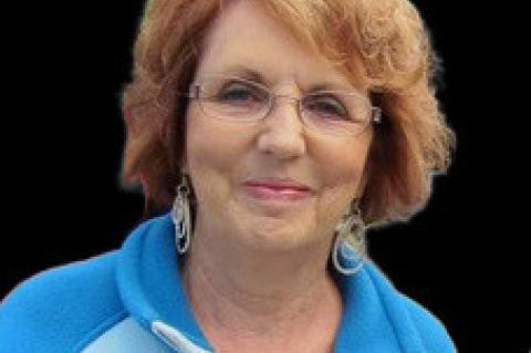 Article Image Alt Text