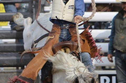 NELSON ADVANCE TO HIGH PLAINS FINALS