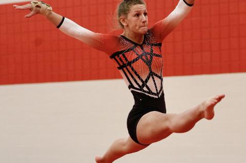 Article Image Alt Text