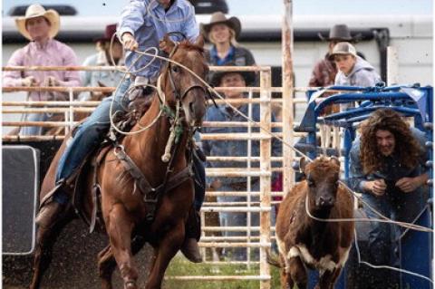 Article Image Alt Text