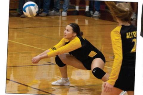 AC/DC VOLLEYBALL RESULTS