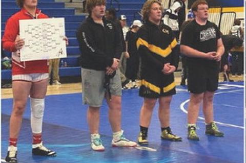 Article Image Alt Text