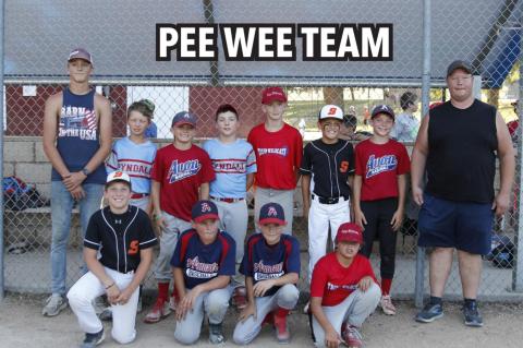 YOUTH BASEBALL ALL-STAR GAMES